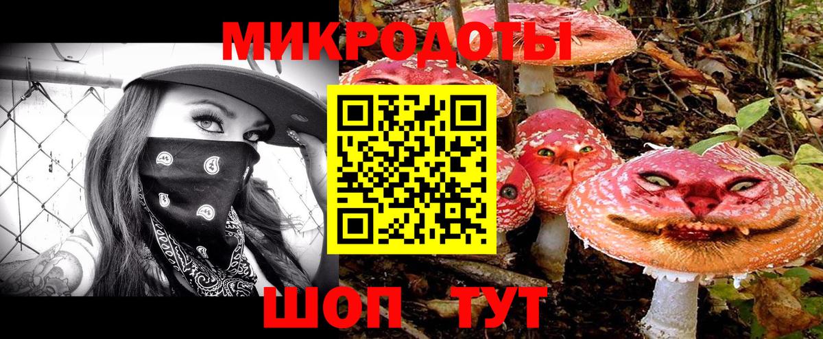 Галлюциногенные грибы Psilocybe Туапсе
