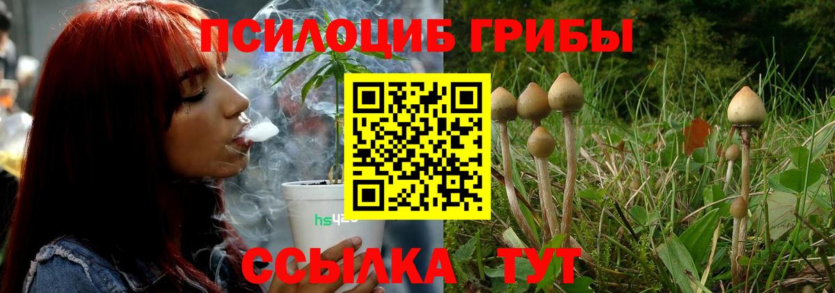 Туапсе  Галлюциногенные грибы Psilocybine cubensis  Галлюциногенные грибы мицелий  Вход с VPN 